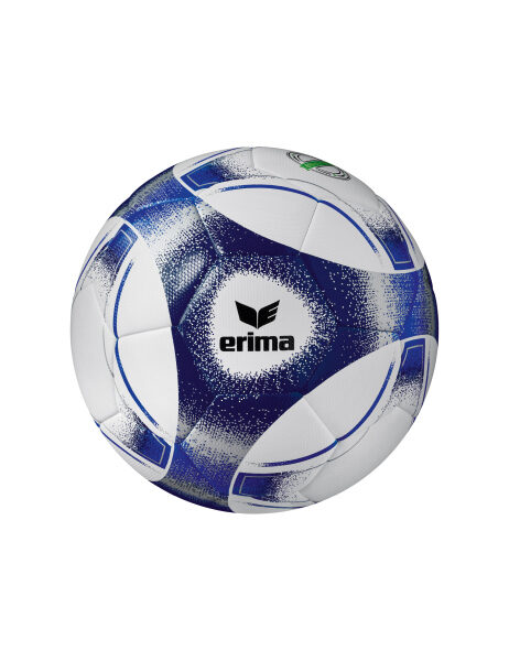 Erima Hybrid Training 2.0 Fußball, Gr. 5, 10-er SET