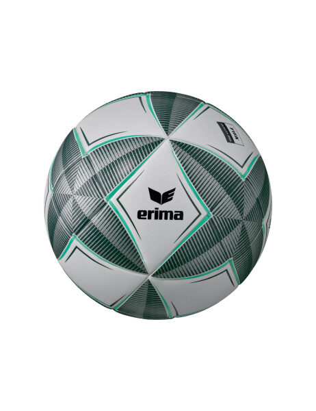 Erima Senzor-Star Pro Trainings-/Matchball Kopernikus 10-er SET