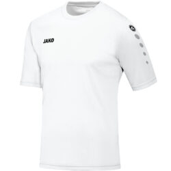 ATSV Bamminger Sattledt T-Shirt